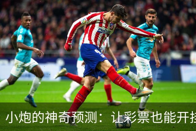 小炮的神奇预测：让彩票也能开挂的秘密武器